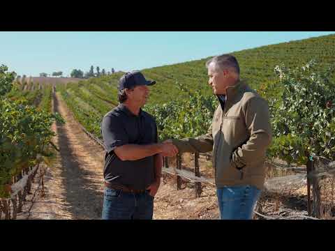 Wine Grape Hauling Services | Reliable Transport for California Vineyards - G3 Enterprises