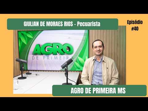 Bezerro a preços recordes: oportunidade ou armadilha?