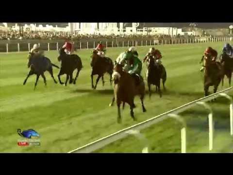 29.03.2015 Meydan (Dubai-UAE) 8.Race Dubai Sheema Classic