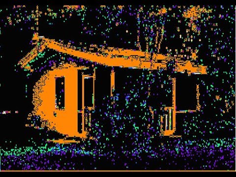 My Little Field Day 2019