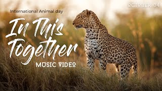 In This Together - Music Video | Our Planet | Netflix | Ellie Goulding &amp; Steven Price