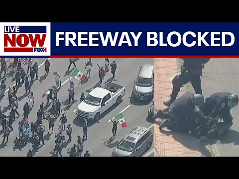 Video | LA anti-ICE protesters, police clash on major freeway | LiveNOW from FOX