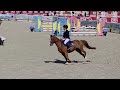 Superbe ponette C, Championne de France 