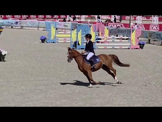 Superbe ponette C, Championne de France 