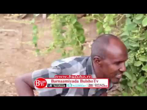 download lagu mp3 mp4 Sooraan Iyo Jawaan 2017, download lagu Sooraan Iyo Jawaan 2017 gratis, unduh video klip Download Sooraan Iyo Jawaan 2017 Mp3 dan Mp4 Youtube Gratis