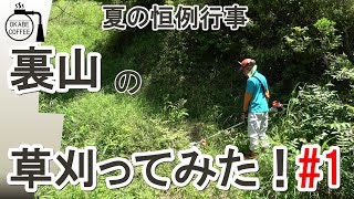 【手入れ】夏の恒例行事「裏山の草刈ってみた！ 」田舎 山仕事 林業 刈払機【草刈り動画】