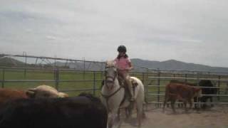 preview picture of video 'Cowgirl Emily sorts cattle'