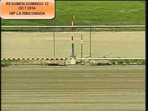 RESUMEN DOMINGO 12 OCT 2014 LA RINCONADA
