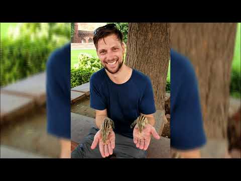 13 |s2s| Indien - part 1 [KTM 790 Adventure R]