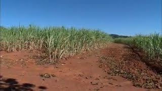 Miniatura do vídeo