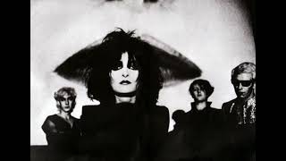 Siouxsie and The Banshees - The Ghost In You