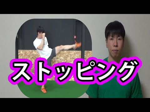 [初心者]基本的な前蹴りの蹴り方[ストッピング]