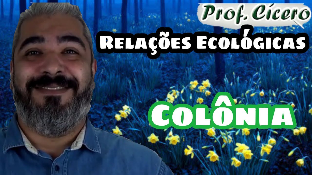 O que é Colônia - Relação Ecológica