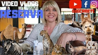 VIDEO VLOGS// CASTILLO DE LAS GUARDAS