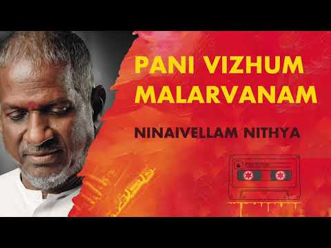 Pani Vizhum Malarvanam - Ninaivellam Nithya | Ilayaraja | 24 Bit Song | SPB