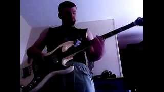 Pelican Lost In The Headlights