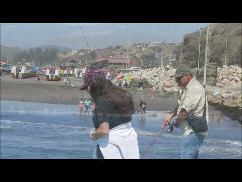 937. PLAYA DE BUCALEMU. Provincia Cardenal Caro. Chile.