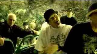 Kottonmouth Kings &quot;Where&#39;s the Weed At?&quot;