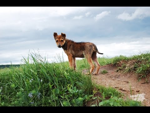 Fanatic Jump - Ugráld le a kilókat! - dinusurgery.hu magazin