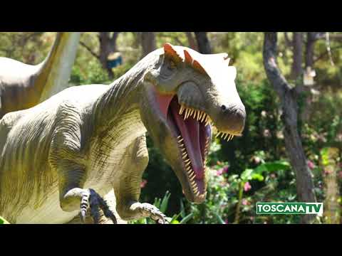 2020-02-02 FIRENZE - EVENTI DI FEBBRAIO