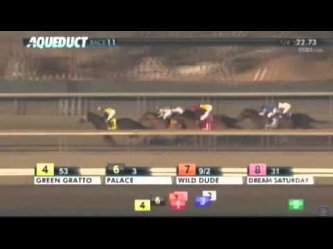 Dads Caps by Discreet Cat wins the G1 Carter Handicap at Aqueduct