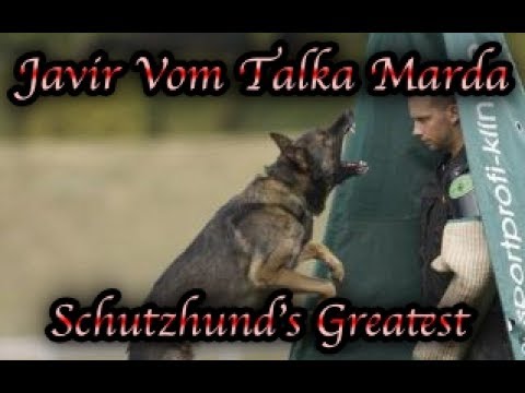 VW Kennels video.