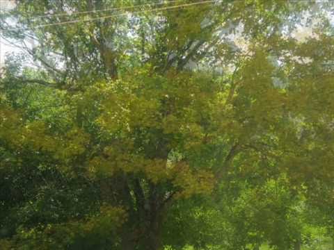 Tõnis Mägi- "Ma loodan, et sa muudad oma meelt"