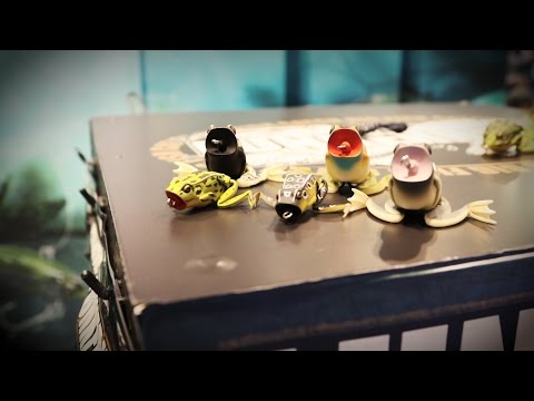 ICAST 2015: Lunkerhunt Popping Frog with Matt Arey