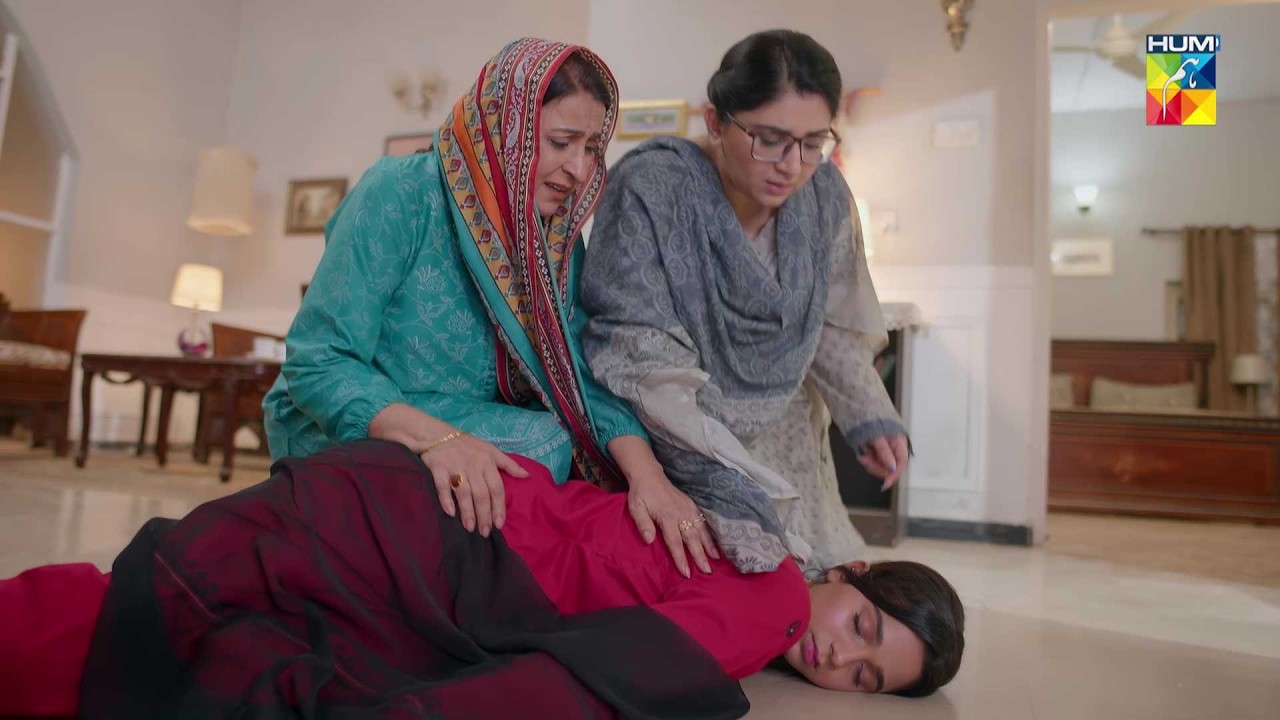 Yeh Larki Natak Karne Se Baaz Nahi Ayi Gi...! Daam-e-Mohabbat - HUM TV