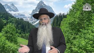 הרב לירן ישי - שעות זמניות