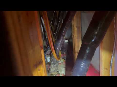 Garbage, Food Debris, & Fruit Flies Found in Restaurant in Sayreville, NJ