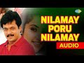 Nilamay Poru Nilamay Audio Song | Rhythm | A.R.Rahman | Shankar Mahadevan Hits