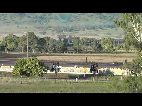 8163+8128=Werris Creek