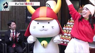 2月22日【びわ湖放送ニュース】２月２２日は「猫の日」　世界遺産も招くにゃん