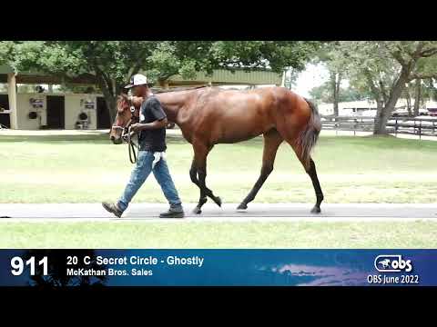 Secret Circle Colt Walking