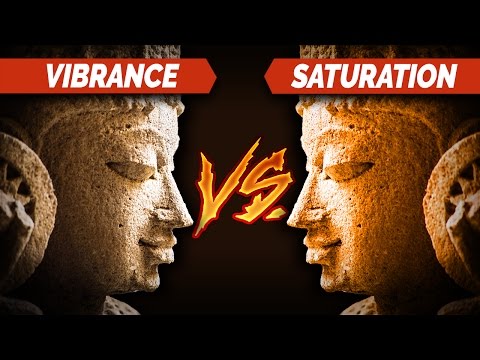 Saturation Vs Vibrance | Lightroom Tutorials #9