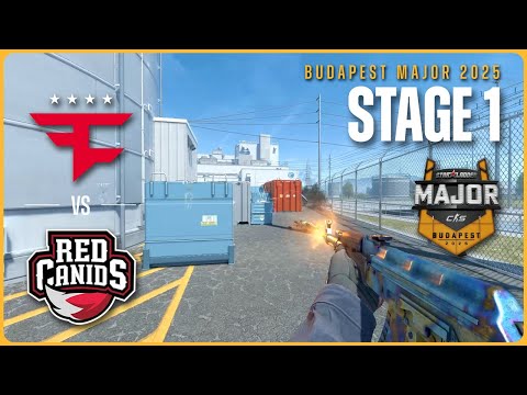 ELIMINATION MATCH! FaZe vs RED Canids - HIGHLIGHTS - StarLadder Budapest Major 2025 - STAGE 1 | CS2