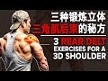 三种锻炼立体三角肌后束的秘方 (Eng Sub) | 3D Shoulder Rear Delt Exercises | Terrence Teo
