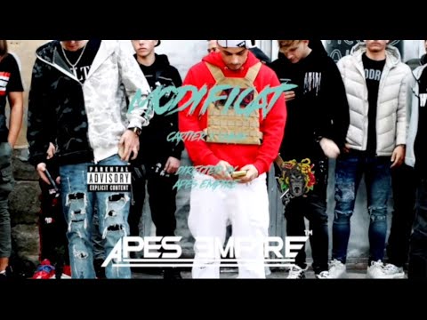 CMMG x Cartier - Modificat (Official Video)