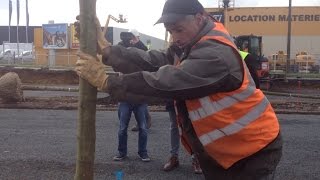 preview picture of video 'Des arbres plantés sur le chantier du super bus'