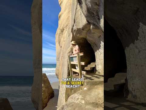 New Zealand’s Secret Beach in Dunedin! 🤯