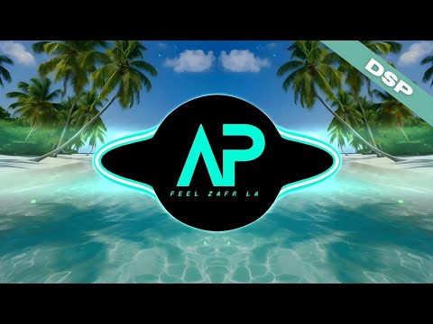 VRAI GANGSTER - FAVELAS GANG (DSP)