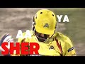Aaya Sher Ft MS Dhoni Aaya Sher Song Thala CSK Aaya Sher Dhoni Version Tribute To Dhoni