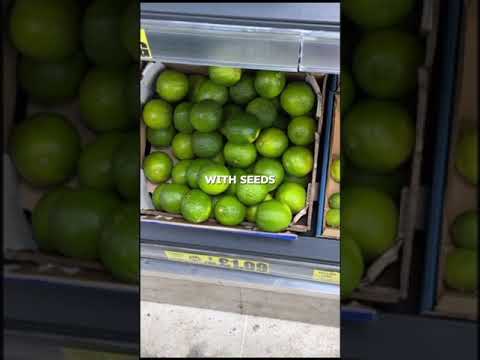 Natural vs. GMO Foods | Human Guide 2.0 🌱🧬