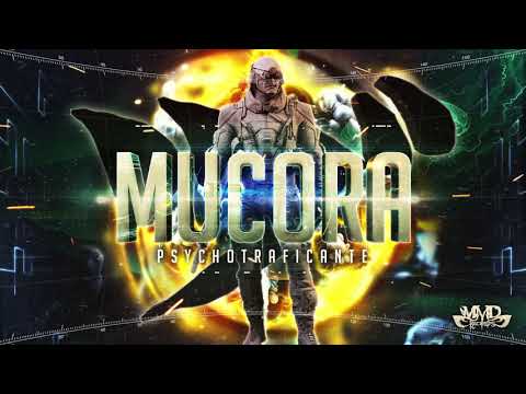 Mucora - Psychotraficante