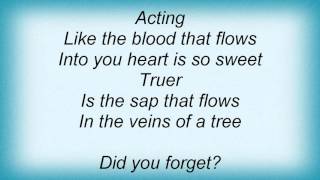 17526 Perry Farrell - Did You Forget Lyrics