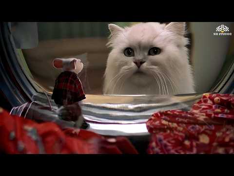 Stuart Little Washing Machine में फंस गया! 🐭 | Peter Rabbit क्या करेगा? 🤯