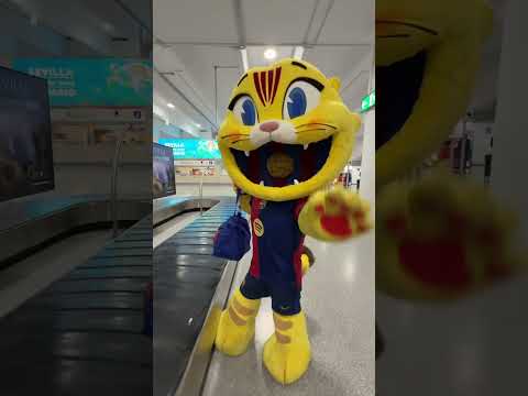 😻 Ready for the Copa final #fcbarcelona #shorts #cat