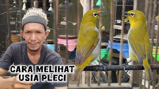 Download lagu cara melihat usia pleci mp3 Download lagu cara melihat usia pleci mp3