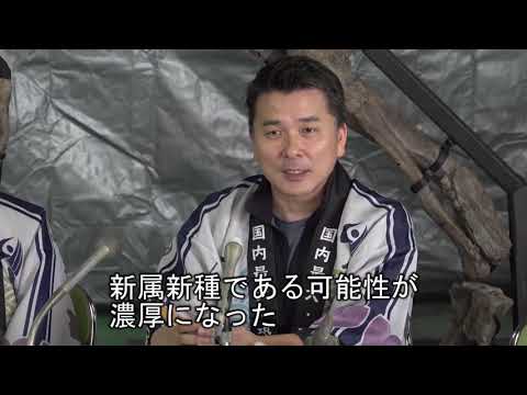 記者会見 むかわ竜新種の可能性 (2019/6/18) 北海道大学